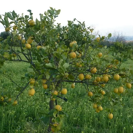 La Fiumarella Avola